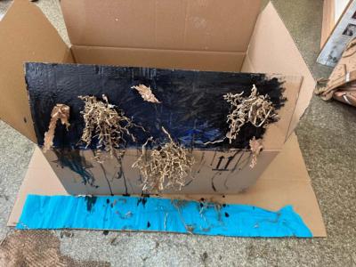 WhatsApp Image 2025-10-28 at 11.12.33.jpeg