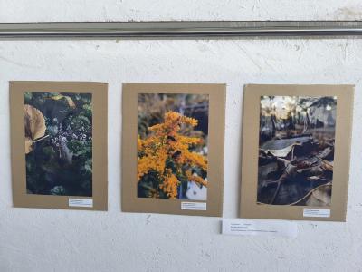 WhatsApp Image 2026-03-23 at 10.16.32.jpeg