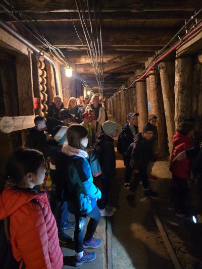 WhatsApp Image 2026-04-16 at 09.50.15 (3).jpeg