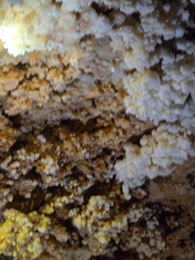 WhatsApp Image 2026-04-16 at 09.50.17.jpeg