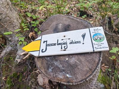 828509411_1743053514493962_1249047984623176384_n.jpg